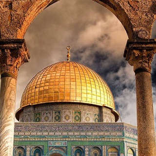 Telegram profile photo for أُولُو الْأَلْبَابِ