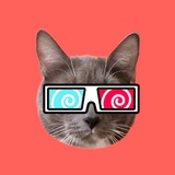 Telegram profile photo for kotiynet
