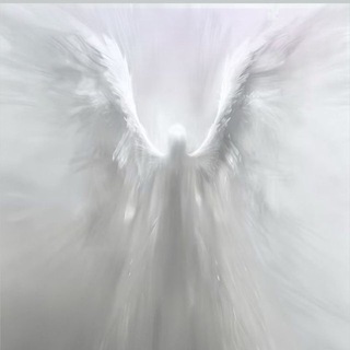 Telegram group profile photo for Qence Chat
