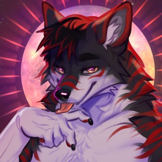 Telegram profile photo for Jan's Collections