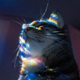 Telegram profile photo for 🎸🎨МИР ТВОРЦОВ|・ω・) - PR