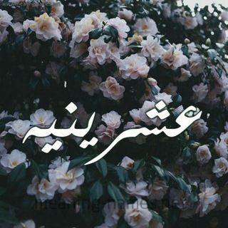 Telegram profile photo for نجمتـي 💖
