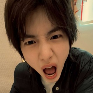 Telegram profile photo for LPM POYOYOI 🐢