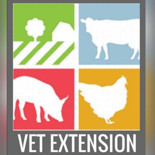 Telegram profile photo for Vet Extension