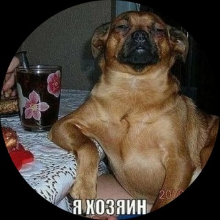 Telegram profile photo for Telegram FZ-LLC