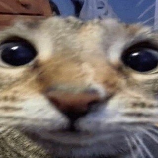 Telegram profile photo for Переходник
