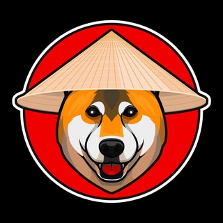 Telegram profile photo for MaruTaro | The worlds most famous Shiba Inu