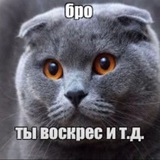 Telegram profile photo for СтасХрдбс вещает