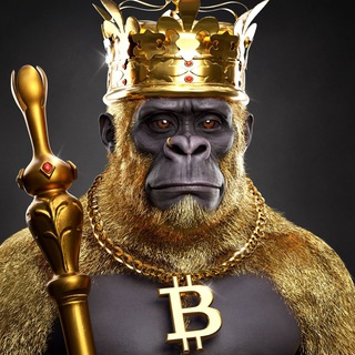 Telegram profile photo for First Capital - Nodes|Testnet|Airdrops