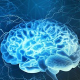 Telegram profile photo for العلوم الطبية Sciences Medical