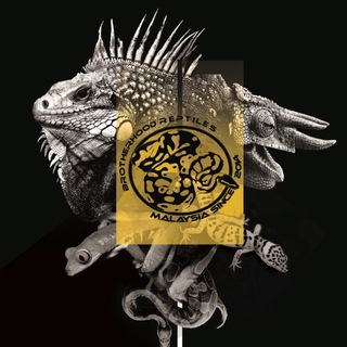 Telegram profile photo for BHREPTILES