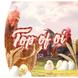 Telegram profile photo for 🐣𝗧𝗈𝗉 𝗈𝗳 𝗈𝗶``