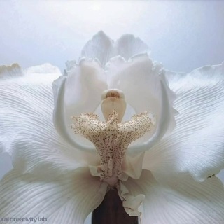 Telegram profile photo for LUV IT. ВАЖНОЕ