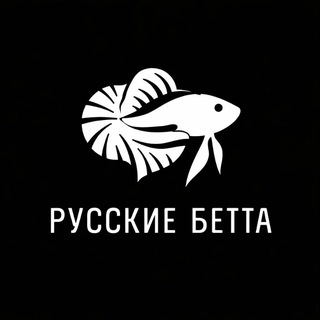 Telegram profile photo for Русские Бетта