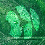 Telegram profile photo for Медиа People ЖЮ