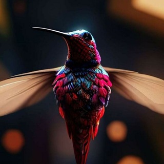 Telegram profile photo for Hummingbird Chronicles