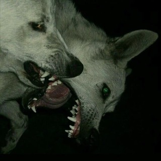 Telegram profile photo for соулкор бай