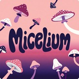 Telegram profile photo for Micelium