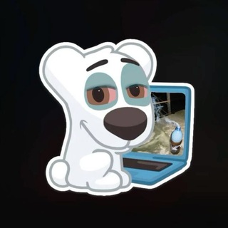 Telegram profile photo for ЦЕЛУЙ МОИ ДЕНЬГИ! 💵