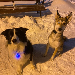 Telegram profile photo for дипп, ко мне!