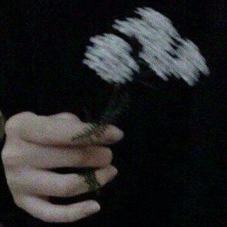Telegram profile photo for Elif Uchun 🫀