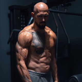 Telegram profile photo for Andrew Tate