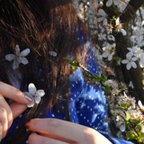 Telegram profile photo for خرده جنایت های یک دانشجو