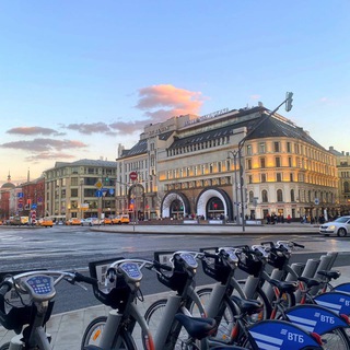 Telegram profile photo for Цитаты для жизни