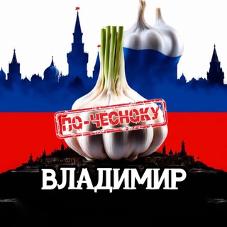 Telegram profile photo for ВЛАДИМИР ПО-ЧЕСНОКУ