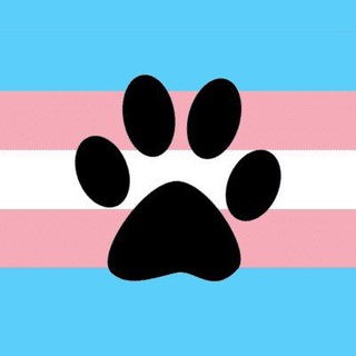 Telegram profile photo for All things stickery(18+)