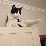 Telegram profile photo for Анекдоты на мой вкус