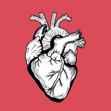 Telegram profile photo for إطمئنان ♥️