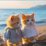 Telegram profile photo for ❣.هـمسـات لـﻃيفـة❣