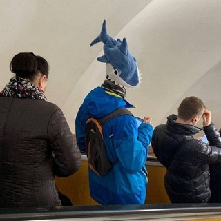 Telegram profile photo for Колыбель эволюции Z
