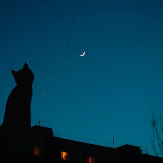 Telegram profile photo for تبلیغات The moon