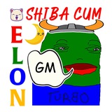 Telegram profile photo for $PEPE - ShibaCumGMElonKishuTurboAssFlokiMoonInu