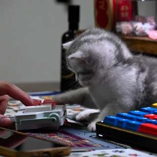 Telegram profile photo for Mechanical Keyboard