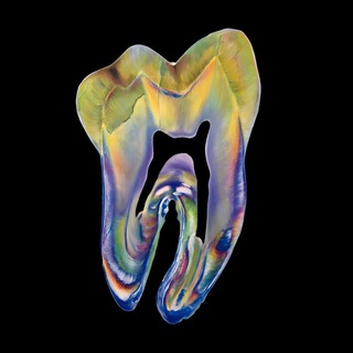 Telegram profile photo for КУРСЫ ДЛЯ СТОМАТОЛОГОВ | АФИША
