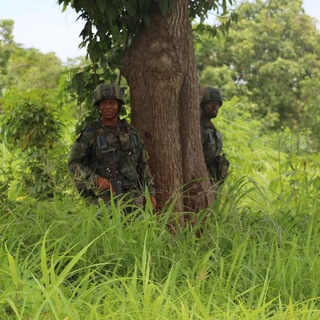 Telegram profile photo for Zitamar Mozambique conflict updates