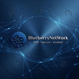 Telegram profile photo for BlueberryNetWork