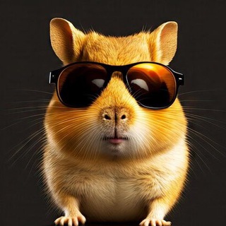 Telegram profile photo for Крипто Азбука