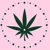 Telegram profile photo for CANNA TIME™