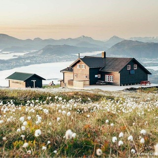 Telegram profile photo for Travel/Викторины 🏞🌎