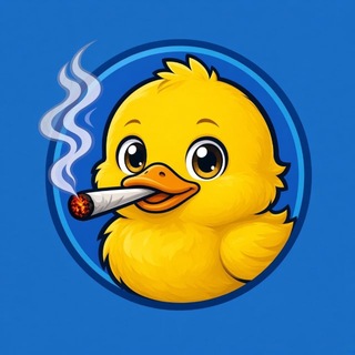 Telegram profile photo for Duck Calls