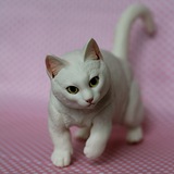 Telegram profile photo for Тихий кусь