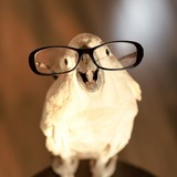 Telegram profile photo for Лучший бар с сауной
