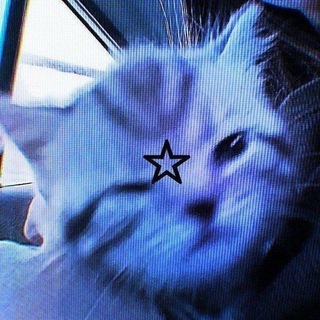 Telegram profile photo for SPEE2dOtp🚀