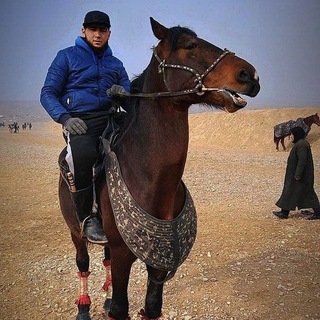 Telegram profile photo for Непокорный Карфаген