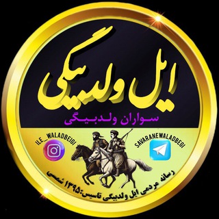 Telegram profile photo for سواران ولدبیگی