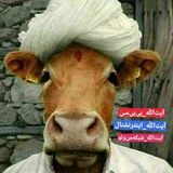 Telegram profile photo for آیت الله ایران اینترنشنال